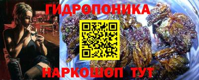 альфа пвп Брянск