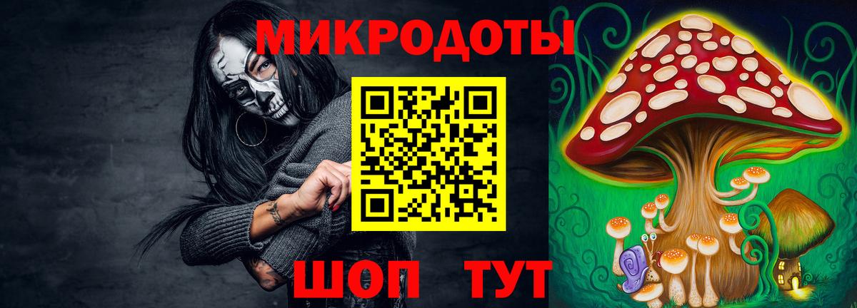 Галлюциногенные грибы GOLDEN TEACHER Владимир