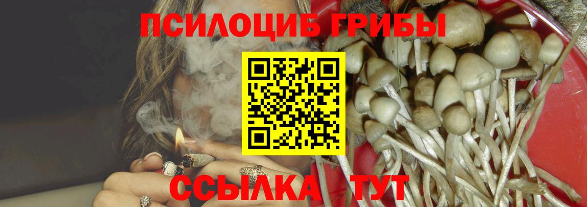 Галлюциногенные грибы MAGIC MUSHROOMS  Вход с VPN  Владимир  Псилоцибиновые грибы Psilocybe 
